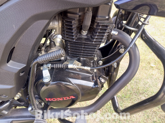 Honda shine 2023